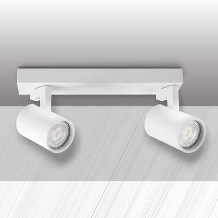 Nástěnné a stropní bodové svítidlo 2x GU10 White LYNX Sanico Goldlux