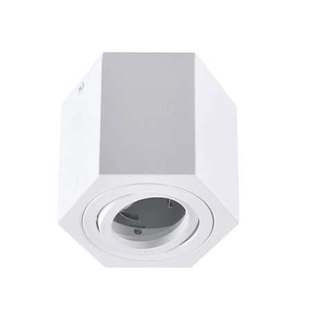 Hexagon GU10 LED pohyblivé SPOT bílé přisazené stropní svítidlo