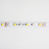 LED pásek SMD 5050 14,4W/m 60LED/m 12V 2700-6500K Multicolour RGB + variabilní CCT IP63 Roll 5m Ecolight