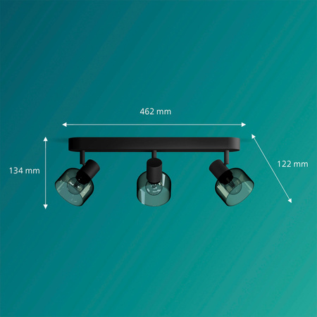 Reflektorové stropní svítidlo 3x E14 Black Sleet Philips