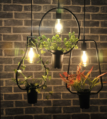 IL MIO SOREN závěsné stropní svítidlo černé E27 s květinou GOLDLUX (Polux)