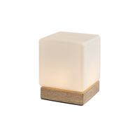Stolní lampa Stolní noční dekorativní 1,3W 40lm 3000K stmívatelná hnědá skandinávská Pirit Rabalux