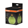 LED žárovka E27 Sphere 3,5W 300lm 2700K teplá bílá Decorative Green Osram