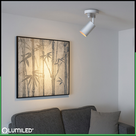 LUMILED HUMA RAIL SET WHITE + SAGI RAIL SPOTLIGHT WHITE-GOLD