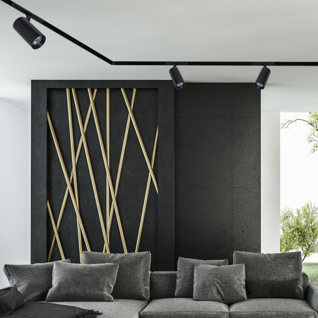 LED reflektor kolejnicová lampa 10W 4000K pro magnetickou dráhu MAGNETIC TRACK Milagro Black Spot