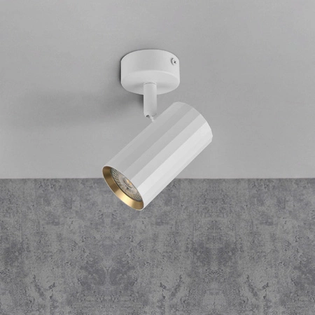 Nástěnné a stropní bodové svítidlo GU10 White Gold NICEA Sanico Goldlux