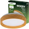 Plafond LED povrchové stropní svítidlo WOODY 18W 4000K Round IP44 27cm LUMILED