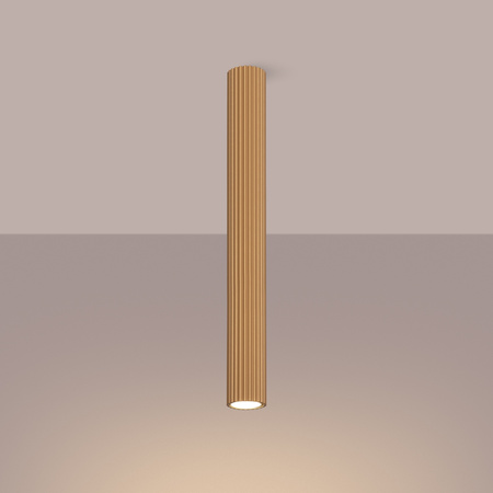 Stropní svítidlo Tuba Spot GU10 Gold Carbon Deep Space SL.1553 Sollux