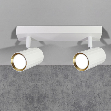 Nástěnné a stropní bodové svítidlo 2x GU10 White Gold NICEA Sanico Goldlux