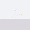 Stropní svítidlo Lustr Spider Pendant 2x E27 White Loop Crimson SL.1471 Sollux