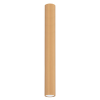 Stropní svítidlo Tuba Spot GU10 Gold Carbon Deep Space SL.1553 Sollux