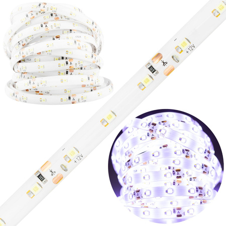 LED pásek 12V, 24W 300LED 2835 Studená bílá 8mm 5m LUMILED