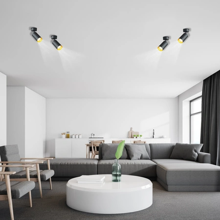 Stropní svítidlo ERIS SPOT. reflektor. halogenová žárovka GU10. černá a zlatá