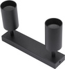 Stropní svítidlo QUALIS SPOT Reflektor Halogenové svítidlo 2xGU10 Black