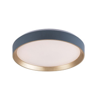 Plafond LED stropní světlo 25W 1110lm 3000K šedá Moderní Liatris Rabalux