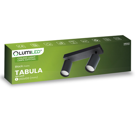 2x GU10 Stropní LED svítidlo, SPOT Reflektor Halogenová Úprava TABULA LUMILED