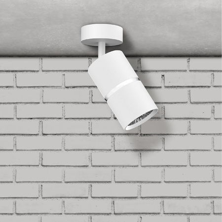 Nástěnné a stropní bodové svítidlo GU10 White Silver BAMBOO Sanico Goldlux