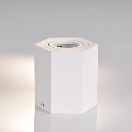 Hexagon GU10 LED pohyblivé SPOT bílé přisazené stropní svítidlo