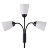 Stojací lampa Svítidlo 3x E27 Black Tulip Sanico Goldlux
