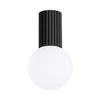 Stropní svítidlo pro povrchovou montáž do koupelny G9 Round Black Modern Matte IP44 Halo Sollux
