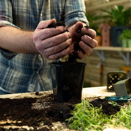 Sada 24x rašelinových květináčů 8x8 cm pro výsev sazenic Biologicky odbouratelné kulaté květináče