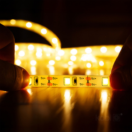 LED pásek 3,4W 240lm 3000K teplý se senzorem pohybu 1m Correa Kobi