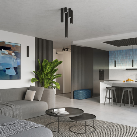 Stropní závěsné svítidlo Tuba Spot 3x GU10 Black Carbon Deep Space SL.1575 Sollux