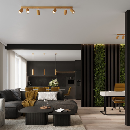 Stropní závěsné svítidlo Tuba Spot 2x GU10 Gold Carbon Deep Space SL.1555 Sollux