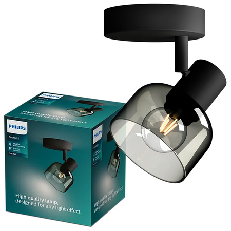 Nástěnné svítidlo E14 LED Black Sleet Philips