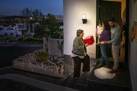 Zahradní lampa E27 Elevační nástěnná lampa IP44 SMART+ WiFi s kamerou a kamerovými globusovými senzory LEDVANCE