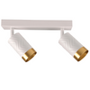 LED stropní/stěnové svítidlo 2 x GU10 ARRAS White GOLDLUX (Polux)