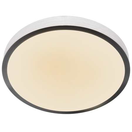 Stropní LED svítidlo Stropní nástěnné svítidlo 2xE27