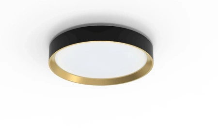 Stropní svítidlo LED Plafond 24W 2700lm 2700K SceneSwitch Black Hanno Philips