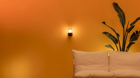 Venkovní nástěnná LED lampa 8,5W RGB SMART WiFi WiZ