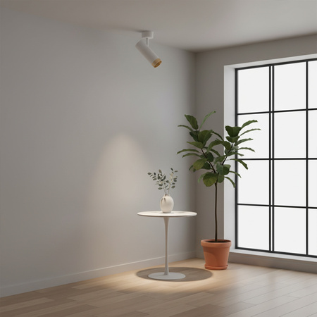 Nástěnné a stropní svítidlo Bodové světlo GU10 White Gold FADO Sanico Goldlux