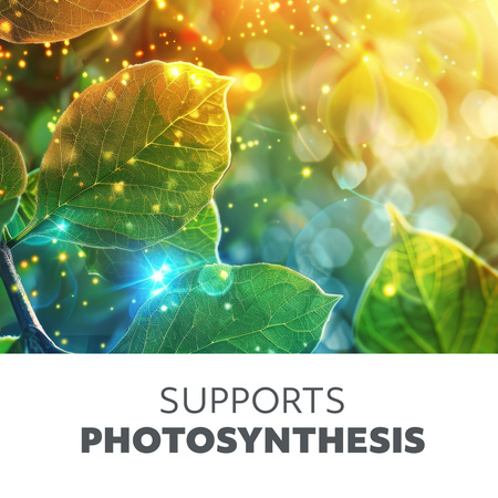 LED světlo pro podporu růstu rostlin 10W Clip Black Vitaro Kobi