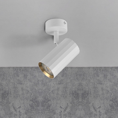 Nástěnné a stropní bodové svítidlo GU10 White Gold NICEA Sanico Goldlux