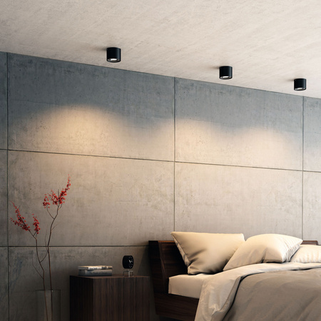 Povrchové svítidlo LED PHASE 6,5W 2700K Stmívatelné Pohyblivé černé PHILIPS