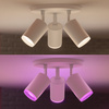 Philips HUE White and Color Ambiance Fugato Lamp 3x4,2W Bluetooth Zigbee