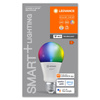 E27 A100 LED žárovka 14W 1521lm RGBW SMART+ WiFi Stmívatelné Classic LEDVANCE