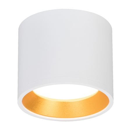 Přisazené LED GOLDA halogenové stropní svítidlo GX53 kulatá trubice bílá - zlatá