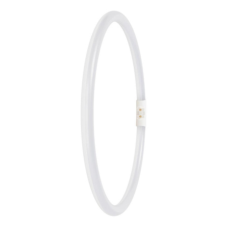 LED kruhová zářivka 2GX13 T5 21,5W 3200lm 6500K studená bílá 120° Ledvance