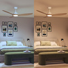 Stropní ventilátor 32W LED stropní svítidlo 24W 2650lm 3000/4300/6500K CCT Brown White + Pilot Olas Philips