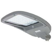 LED pouliční lampa PIKE J DOB 100W 15000lm 4000K TYPE4-S 1-10V Ledolux