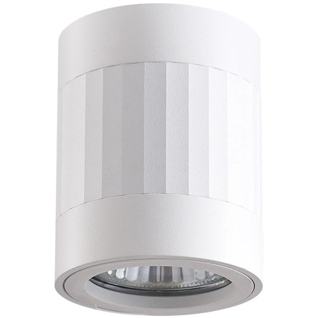 Svítidlo pro povrchovou montáž RUBIN PASKI GU10 Tuba Spot Round Moving White GOLDLUX