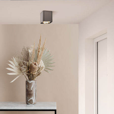 Spot GU10 Black Gold XENO Sanico Goldlux Svítidlo pro povrchovou montáž