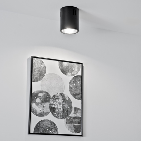 Povrchové svítidlo E27, TUBA SPOT Stálá Kulatá Černá APUS 10 LUMILED