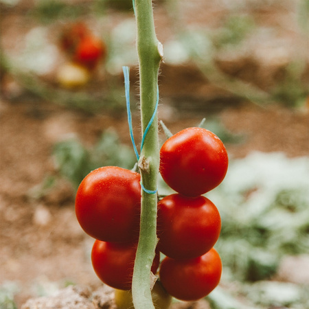 Zahradnický motouz KORD Polypropylen CELLFAST