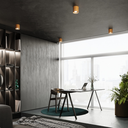 MIKA Spot Tuba GU10 Gold Minimalistické stropní svítidlo SOLLUX pro povrchovou montáž