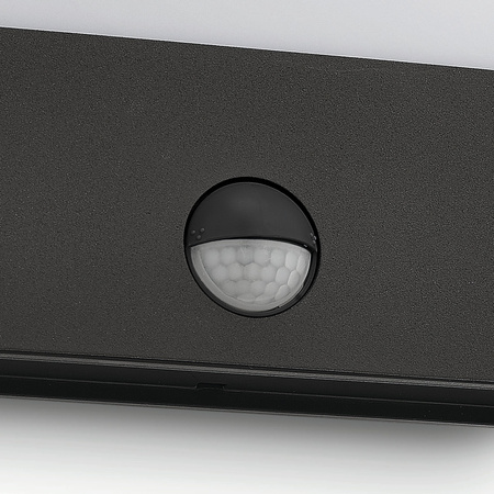 Zahradní lampa LED nástěnná lampa RACCOON IR myGarden 3W 2700K IP44 s pohybovým a soumrakovým senzorem antracitová PHILIPS